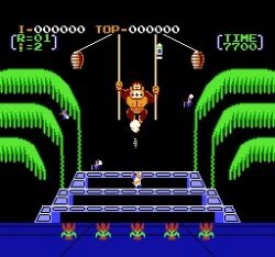 DonkeyKong3Image